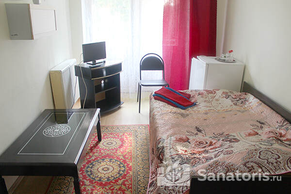 1-местный 1-комнатный номер "Стандарт"