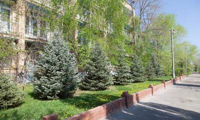 Санаторий Волжская здравница