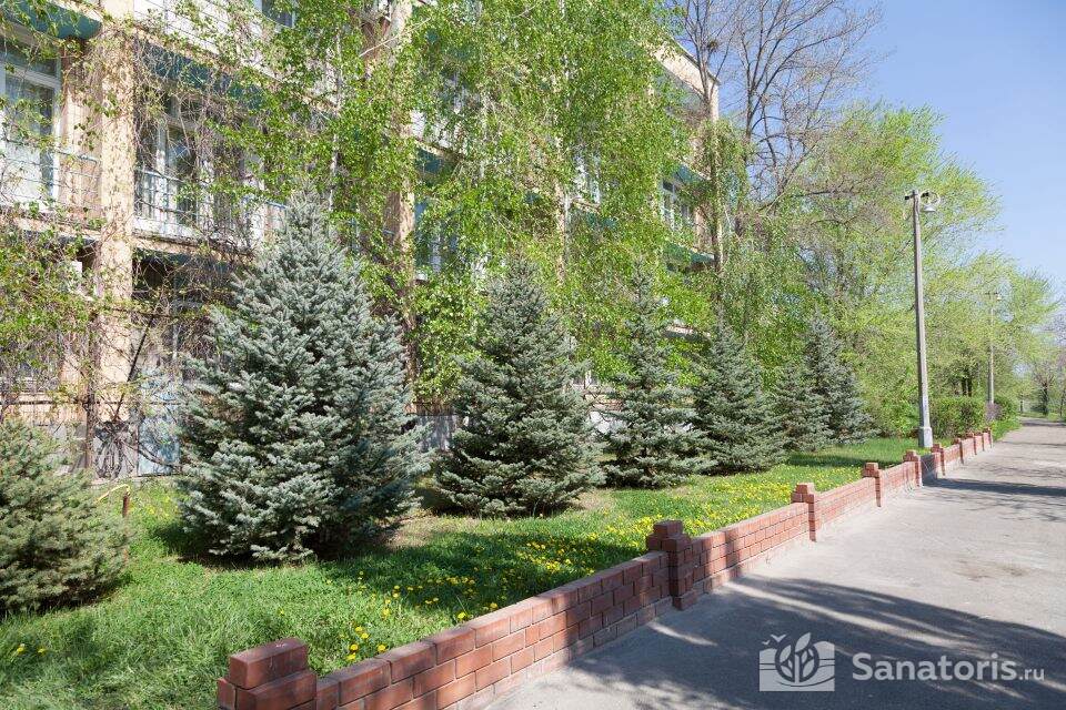 Волжская здравница