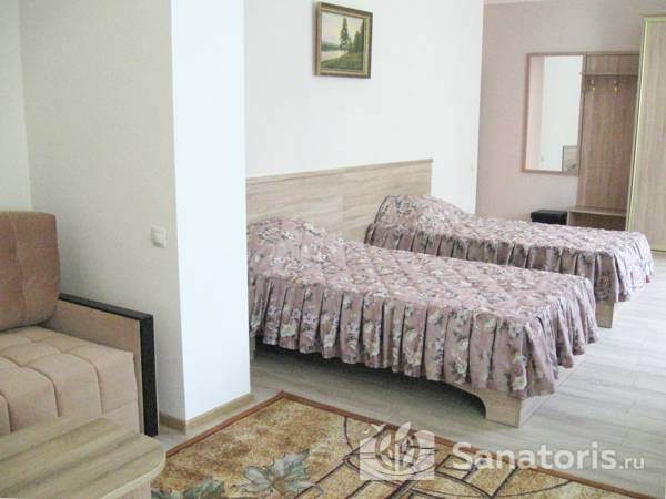 2-местный полулюкс 1-комнатный корпус 3