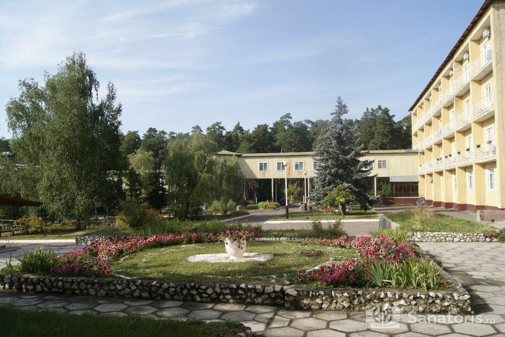 Лесная жемчужина