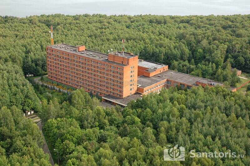 Березовая роща