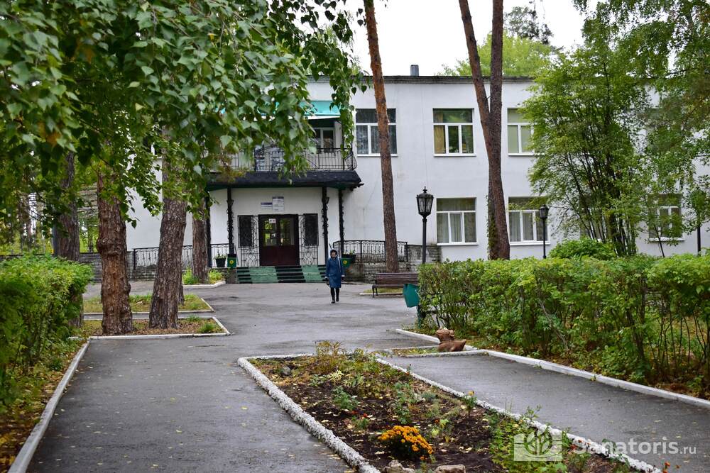 Русский бор