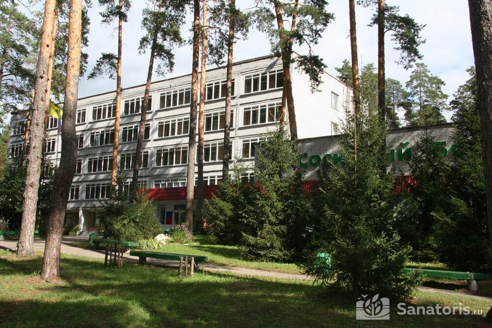 Сосновый бор