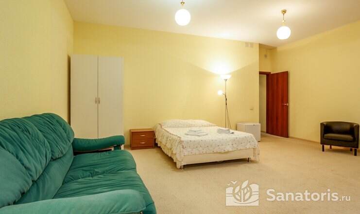 ОДНОКОМНАТНЫЙ НОМЕР «СТУДИЯ +» (425, 427)