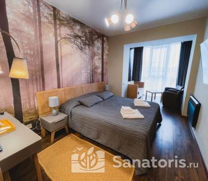 УЛЬТРАСОВРЕМЕННЫЙ НОВЫЙ ОДНОКОМНАТНЫЙ НОМЕР «ЛЮКС» (200-600)