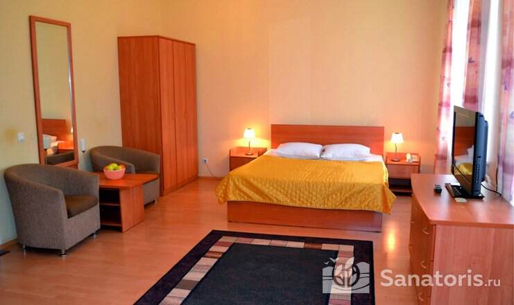 ЛЮКС 2-МЕСТНЫЙ JUNIOR SUITE (КОРПУС 1,2)