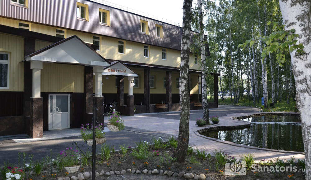 Березовая роща