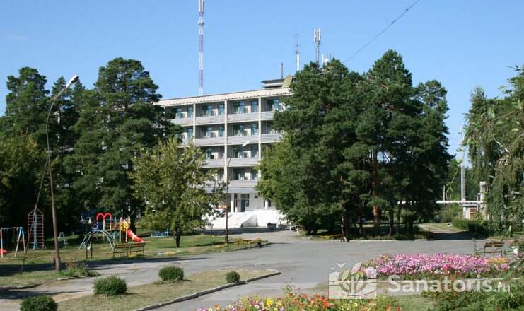 Сосновая роща