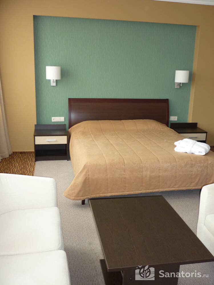 Джуниор Сюит 317 (корпус 2)