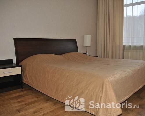  Джуниор Сюит 311 (корпус 1) с плитой