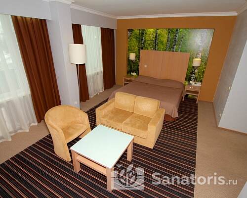 Джуниор Сюит 313 (корпус 2)