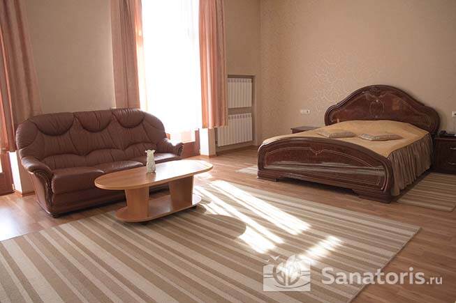 Двухместный однокомнатный номер Люкс (Корпус 1)