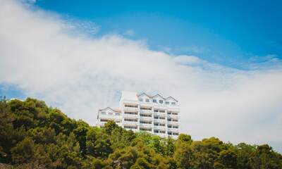 Санаторий Сосновая роща