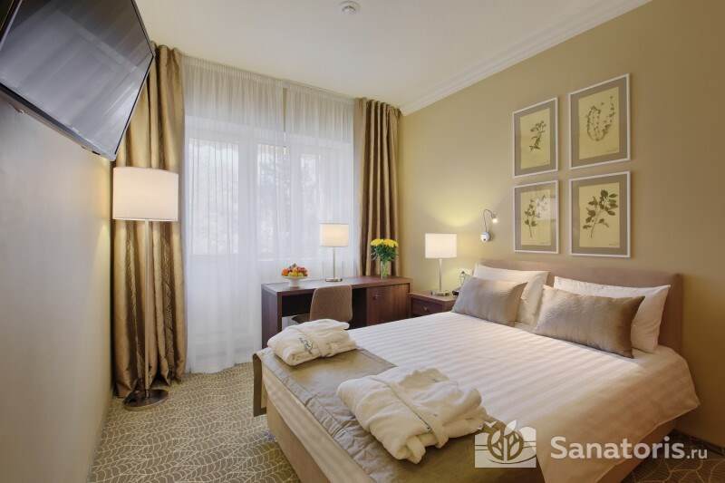 Однокомнатный двухместный номер Double Plus 4* (Вид во внутренни