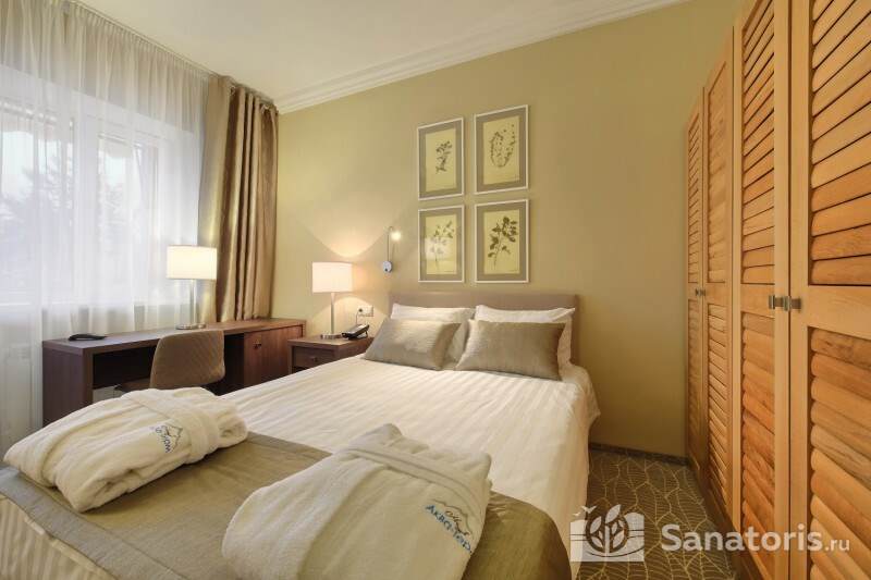 Однокомнатный Двухместный номер Double Plus 4* (Вид на Сосновый 