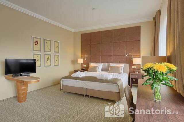 Однокомнатный Двухместный Studio Plus 4* (Вид на Сосновый парк)