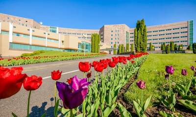 Санаторий Заря