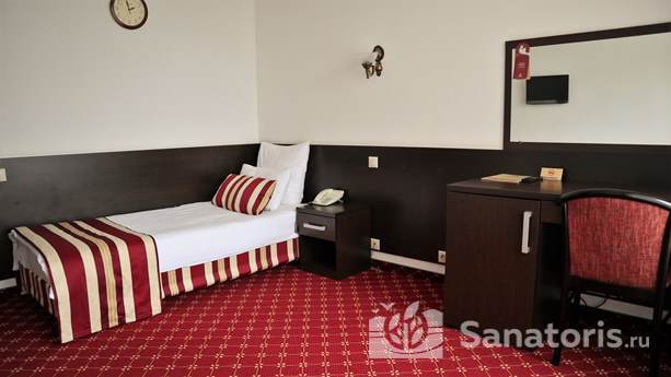 Стандарт одноместный с видом на пруд (корпус № 1)