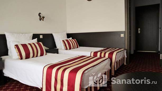 Стандарт двухместный с видом на лес (корпус № 1)