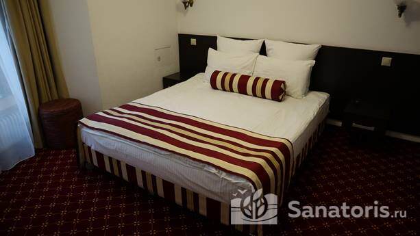 Полулюкс двухкомнатный с видом на лес (корпус № 1)