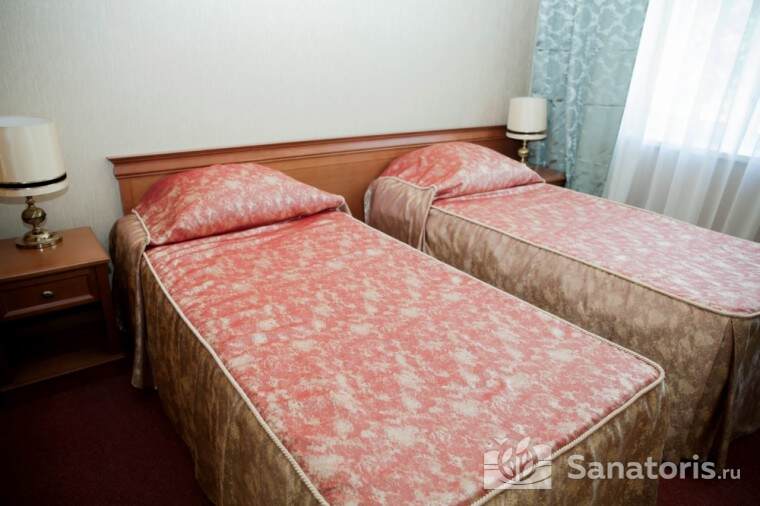 Двухместный двухкомнатный номер "джуниор сюит" (эконом)