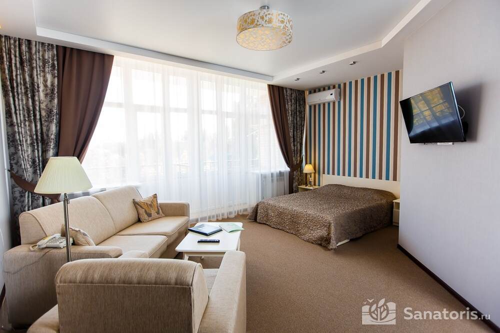 Стандарт Улучшенный с видом на парк