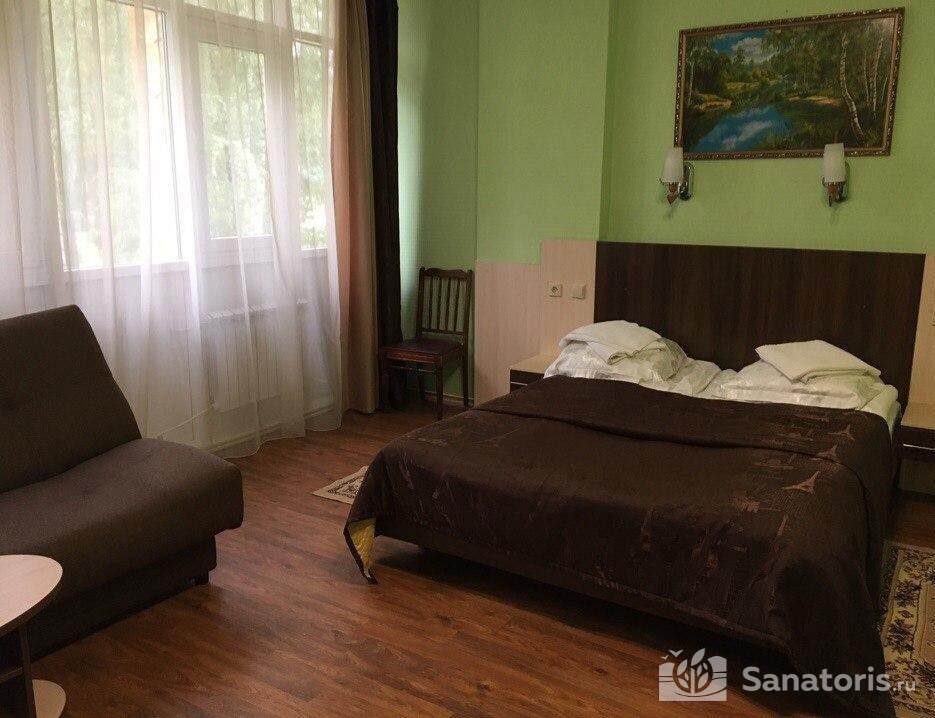 Однокомнатный двухместный Люкс Отель Солнечный