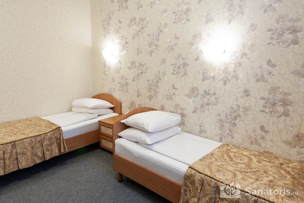 Однокомнатный стандартный двухместный номер (12 кв.м) Гранат