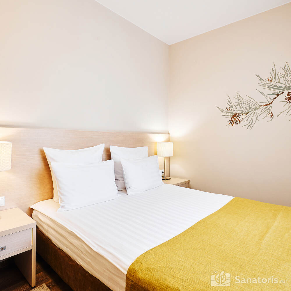  Стандарт 1 категории