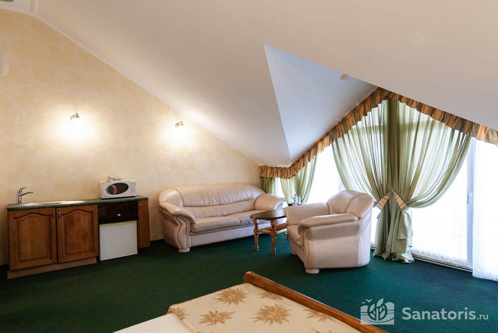 Однокомнатный номер повышенной комфортности (28 кв.м) Сапфир