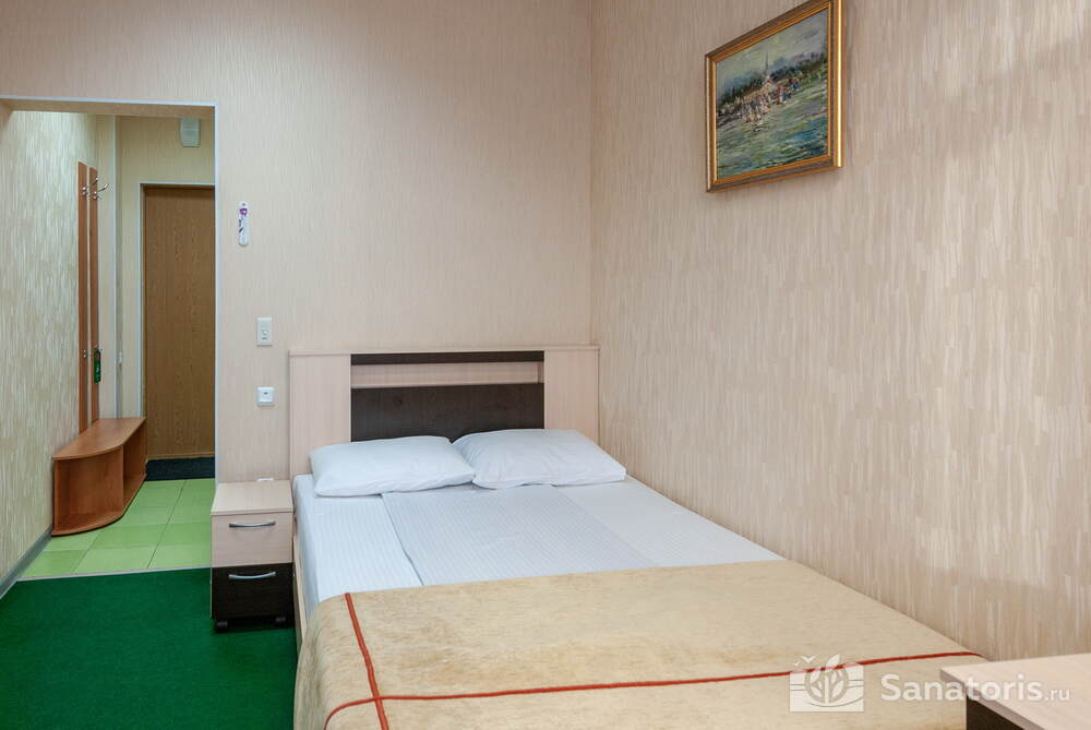 Однокомнатный стандартный одноместный номер (12 кв.м) Гранат