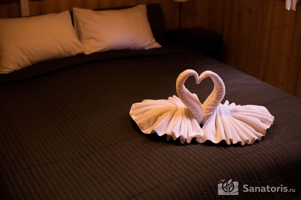 Дом Кедровый с купелью (однокомнатный)