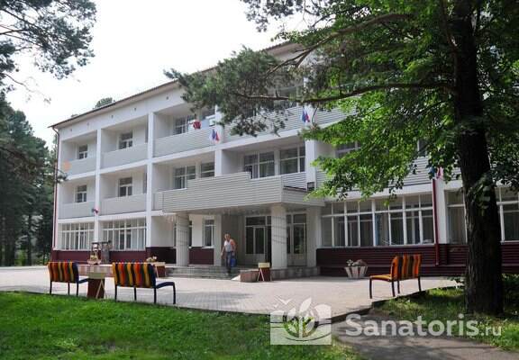 Кедровый бор