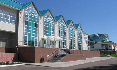 Санаторий Ромашкино