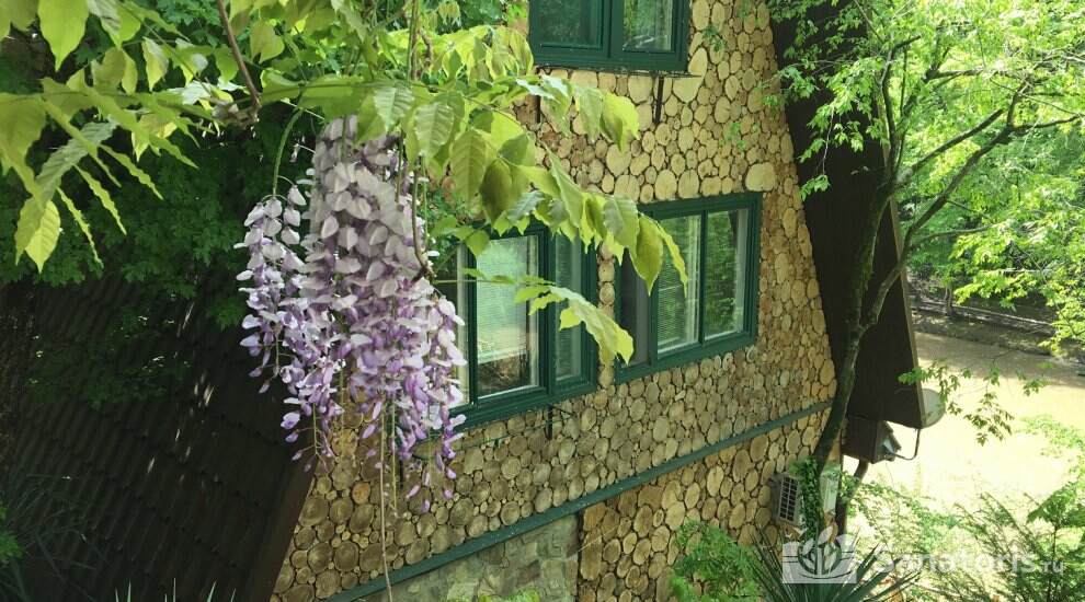 Стандарт Плюс