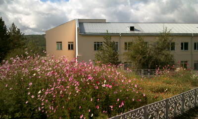 Санаторий Дарасунский