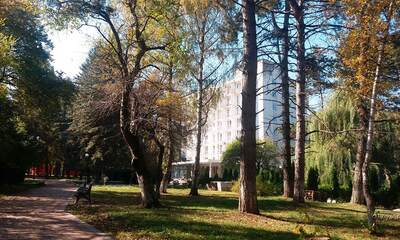 Санаторий Грушевая роща