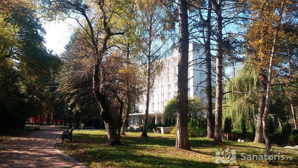 Грушевая роща