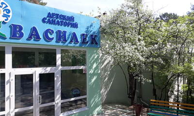 Санаторий Василёк