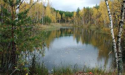 Посёлок Краинка