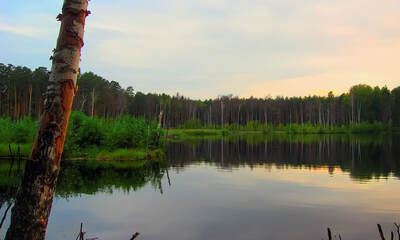 Деревня Попадьино
