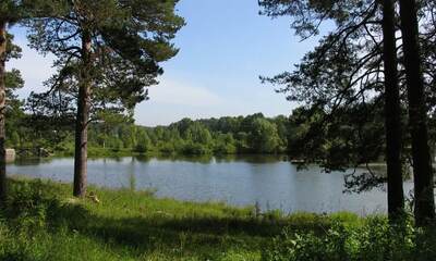 Поселок Лесное Озеро