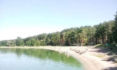 Посёлок Лесная Быль