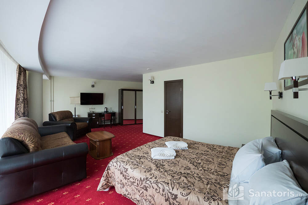 Джуниор Сюит (Вип большой)