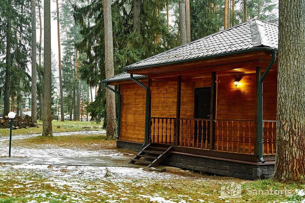 Коттедж "Шишкин" 