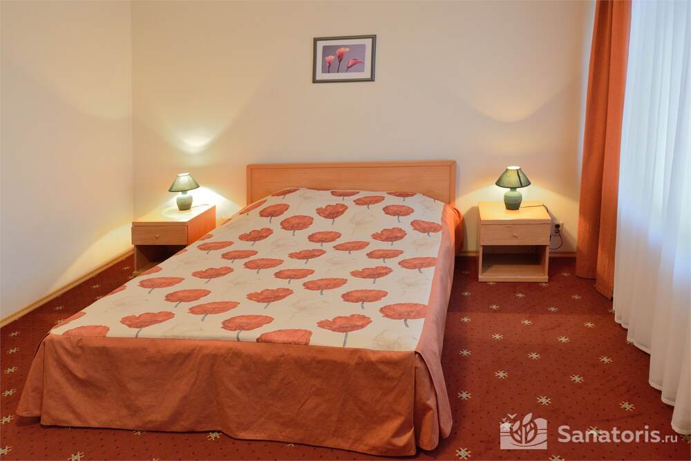 Стандарт одноместный