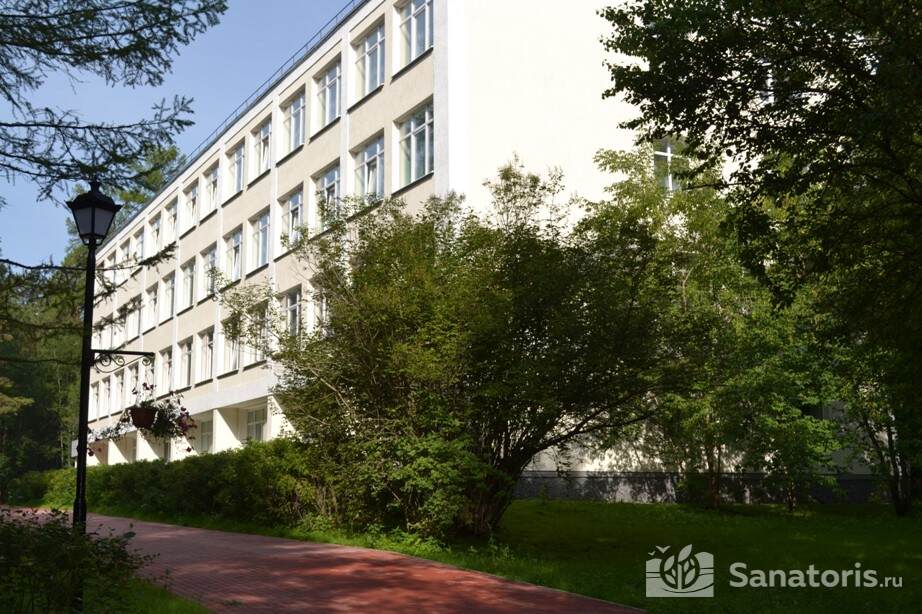 Лесная сказка