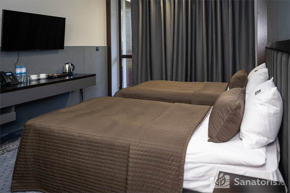 Стандарт с видом на горы Twin (Отель «Югославский»)