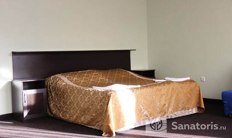 Люкс 2-местный 1-комнатный